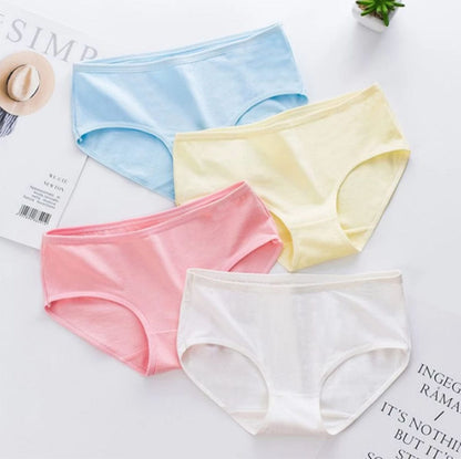 Pack of 2 Comfortable Cotton Brief Women Underwear Panties Regular